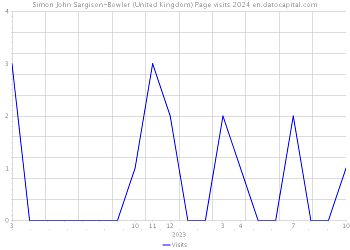 Simon John Sargison-Bowler (United Kingdom) Page visits 2024 