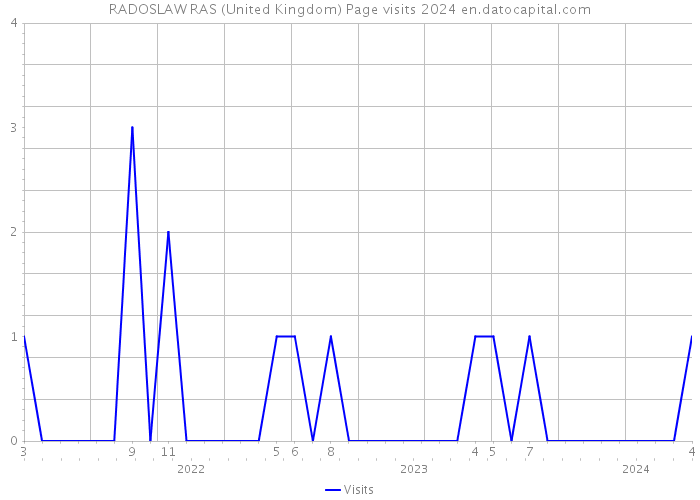 RADOSLAW RAS (United Kingdom) Page visits 2024 