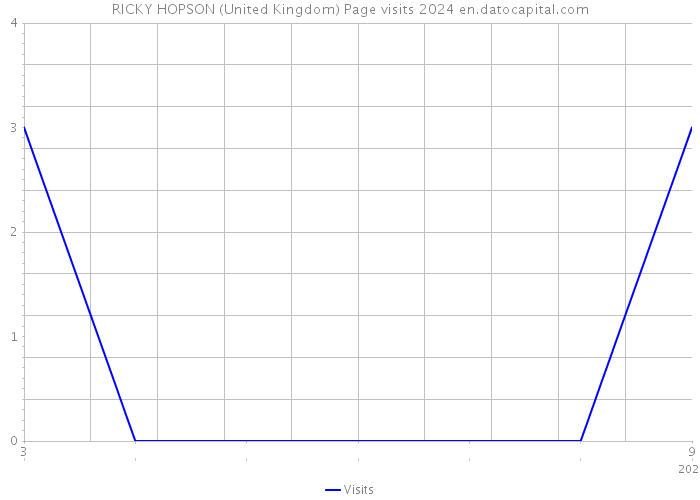 RICKY HOPSON (United Kingdom) Page visits 2024 