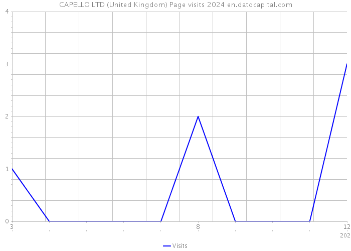 CAPELLO LTD (United Kingdom) Page visits 2024 