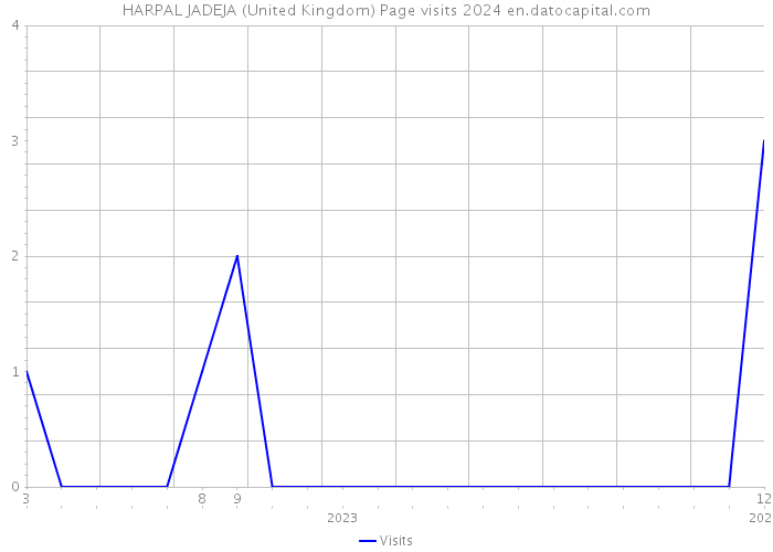 HARPAL JADEJA (United Kingdom) Page visits 2024 
