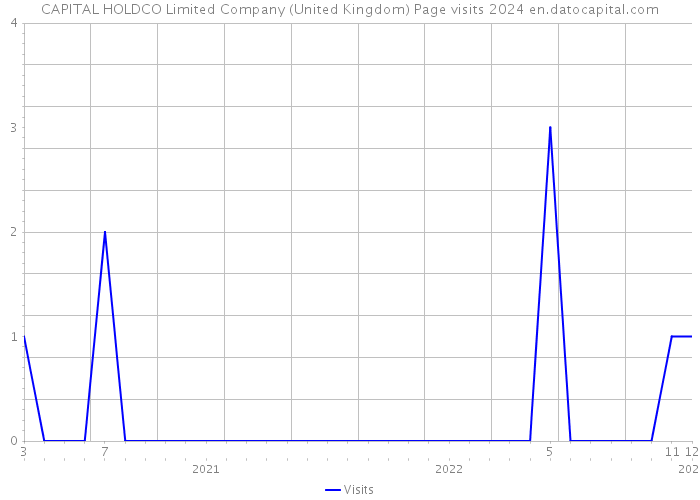 CAPITAL HOLDCO Limited Company (United Kingdom) Page visits 2024 