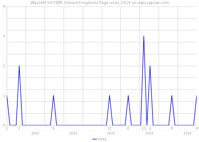 WILLIAM KAYSER (United Kingdom) Page visits 2024 