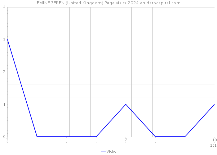 EMINE ZEREN (United Kingdom) Page visits 2024 