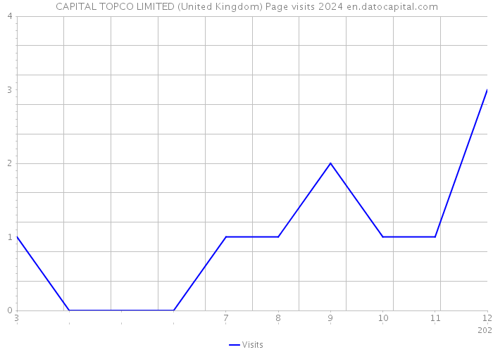 CAPITAL TOPCO LIMITED (United Kingdom) Page visits 2024 