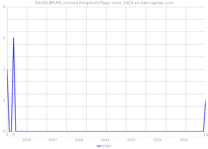 DAVID BRUHL (United Kingdom) Page visits 2024 