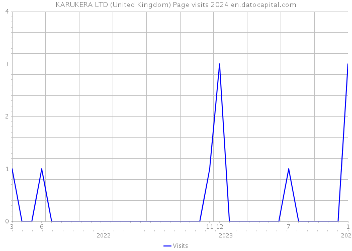 KARUKERA LTD (United Kingdom) Page visits 2024 