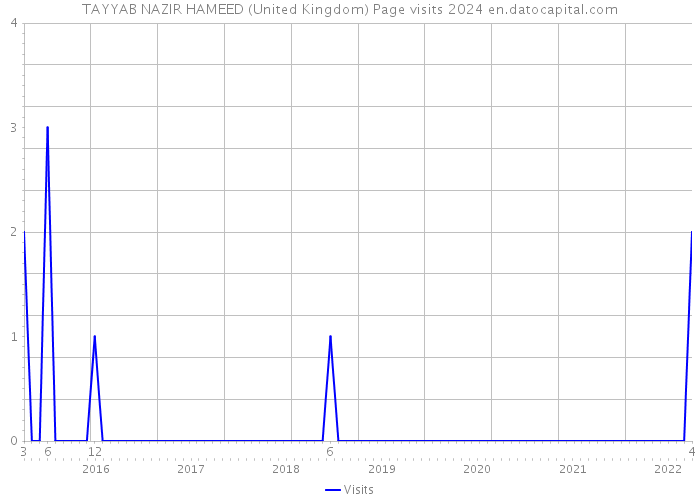 TAYYAB NAZIR HAMEED (United Kingdom) Page visits 2024 