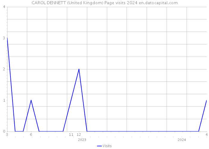 CAROL DENNETT (United Kingdom) Page visits 2024 