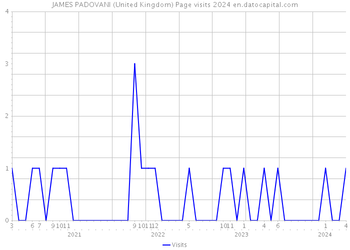 JAMES PADOVANI (United Kingdom) Page visits 2024 