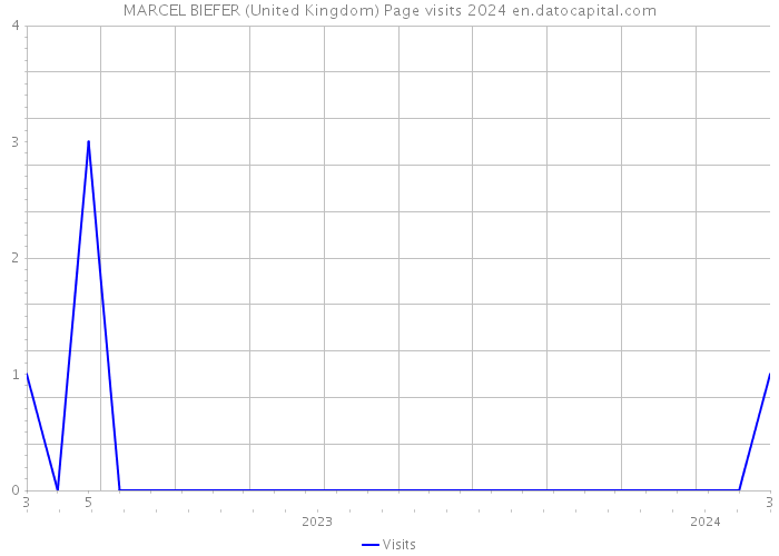 MARCEL BIEFER (United Kingdom) Page visits 2024 