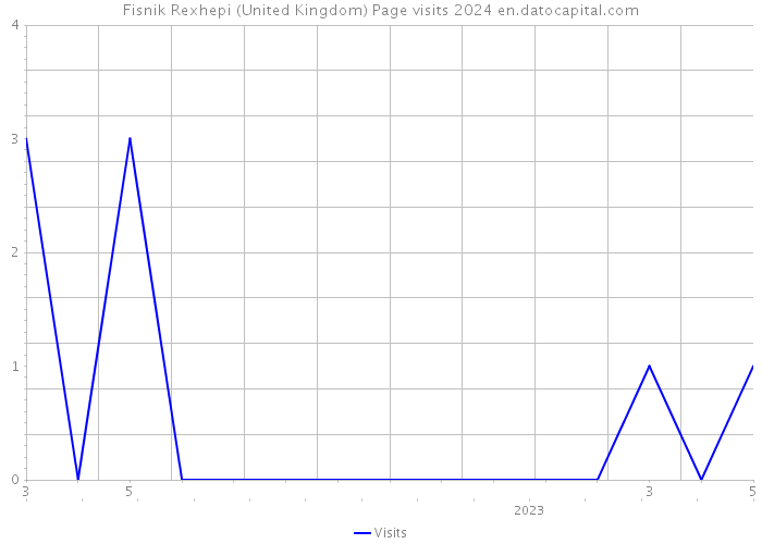 Fisnik Rexhepi (United Kingdom) Page visits 2024 
