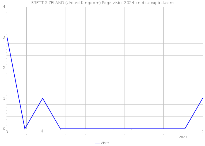 BRETT SIZELAND (United Kingdom) Page visits 2024 