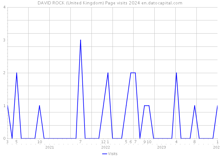 DAVID ROCK (United Kingdom) Page visits 2024 