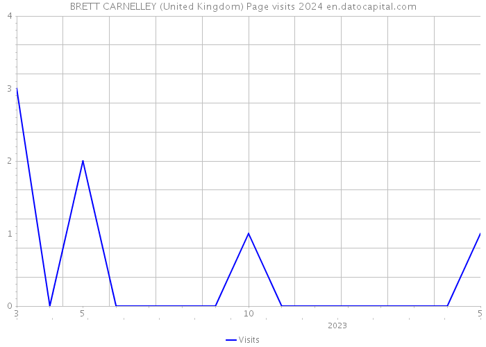 BRETT CARNELLEY (United Kingdom) Page visits 2024 
