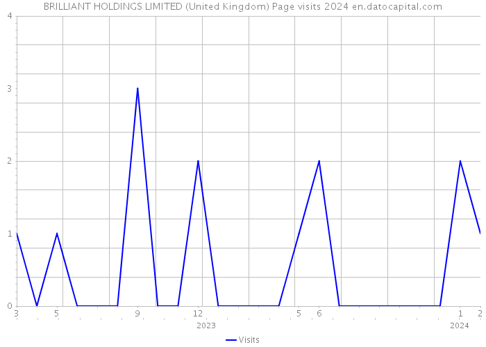 BRILLIANT HOLDINGS LIMITED (United Kingdom) Page visits 2024 