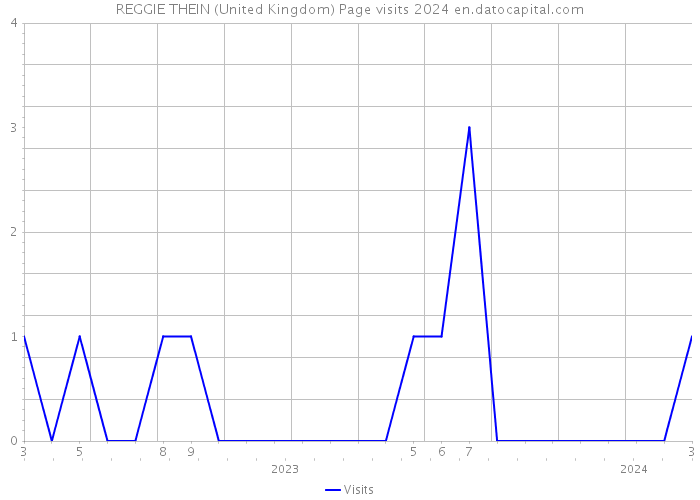 REGGIE THEIN (United Kingdom) Page visits 2024 