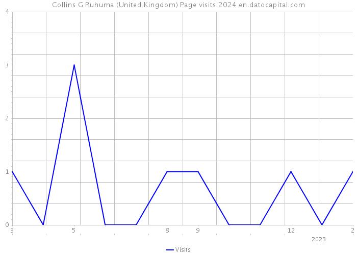 Collins G Ruhuma (United Kingdom) Page visits 2024 