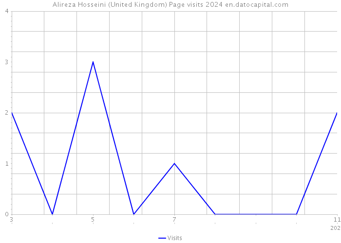 Alireza Hosseini (United Kingdom) Page visits 2024 