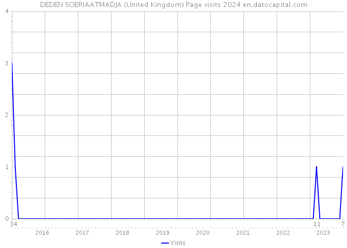 DEDEN SOERIAATMADJA (United Kingdom) Page visits 2024 