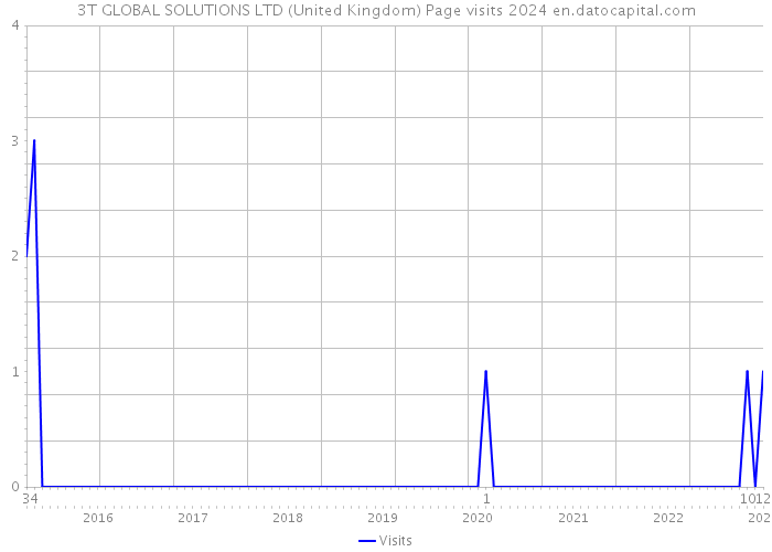 3T GLOBAL SOLUTIONS LTD (United Kingdom) Page visits 2024 