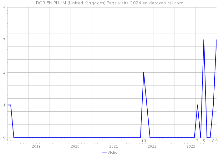 DORIEN PLUIM (United Kingdom) Page visits 2024 