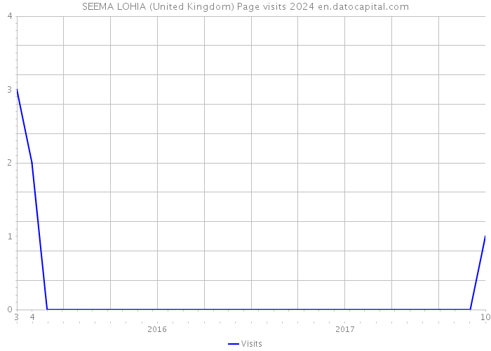 SEEMA LOHIA (United Kingdom) Page visits 2024 