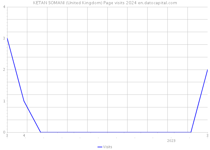 KETAN SOMANI (United Kingdom) Page visits 2024 