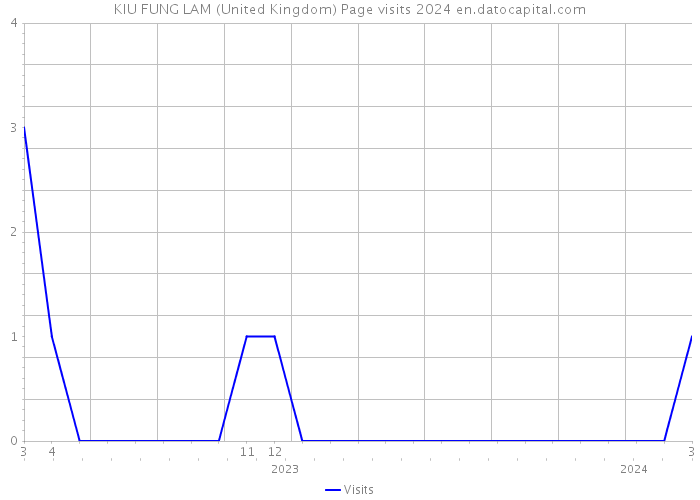 KIU FUNG LAM (United Kingdom) Page visits 2024 