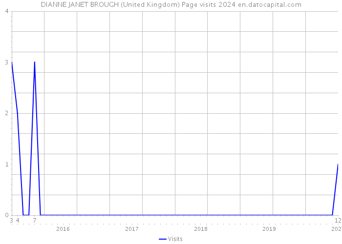 DIANNE JANET BROUGH (United Kingdom) Page visits 2024 