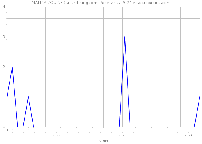 MALIKA ZOUINE (United Kingdom) Page visits 2024 