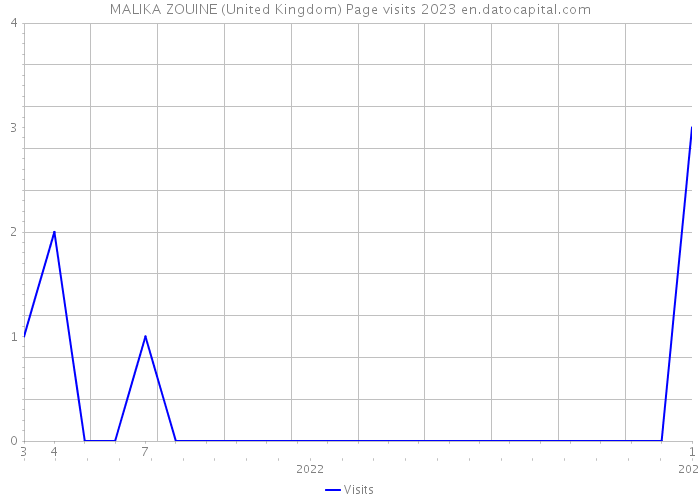 MALIKA ZOUINE (United Kingdom) Page visits 2023 