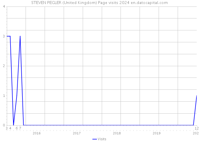 STEVEN PEGLER (United Kingdom) Page visits 2024 