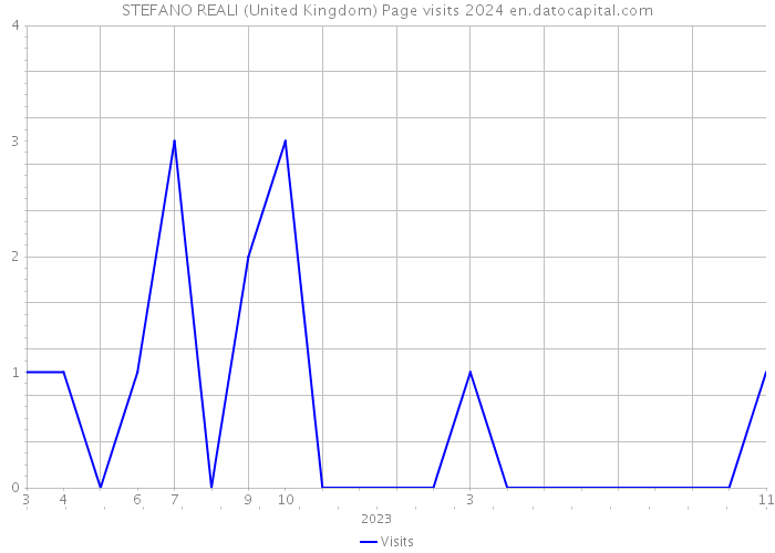 STEFANO REALI (United Kingdom) Page visits 2024 