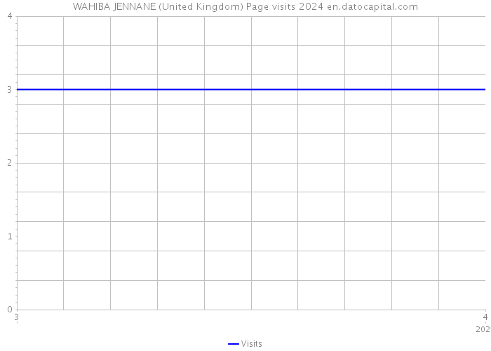 WAHIBA JENNANE (United Kingdom) Page visits 2024 