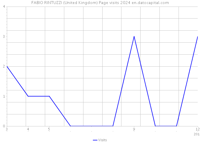 FABIO RINTUZZI (United Kingdom) Page visits 2024 