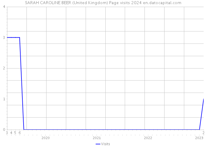 SARAH CAROLINE BEER (United Kingdom) Page visits 2024 