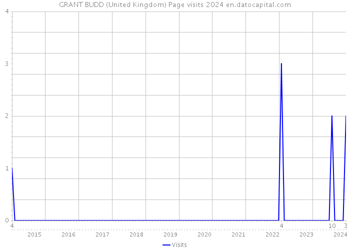 GRANT BUDD (United Kingdom) Page visits 2024 