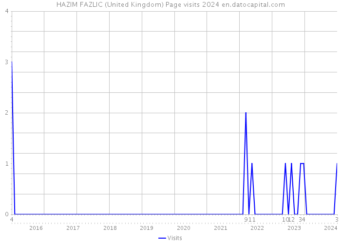 HAZIM FAZLIC (United Kingdom) Page visits 2024 