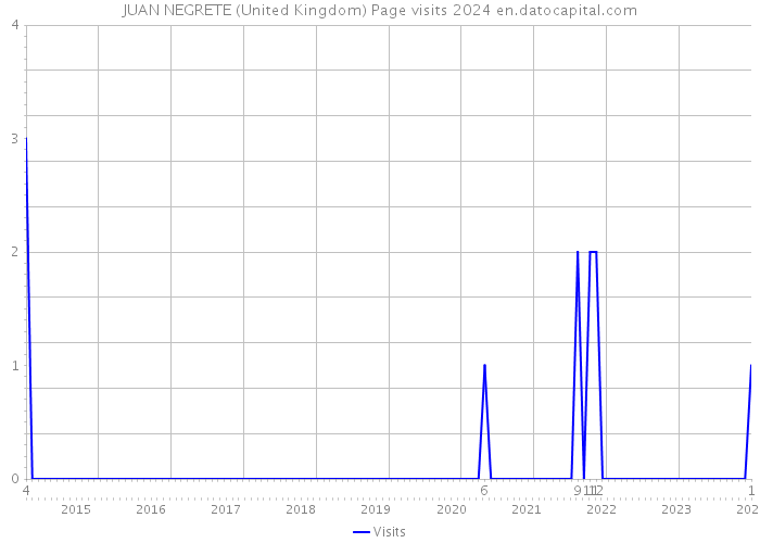 JUAN NEGRETE (United Kingdom) Page visits 2024 