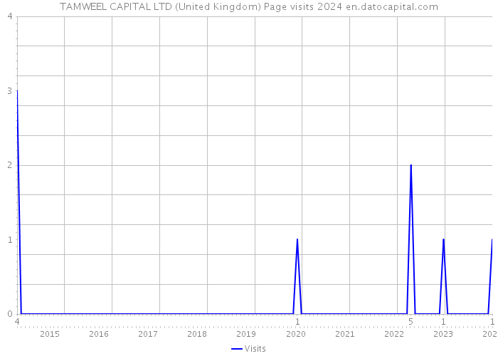 TAMWEEL CAPITAL LTD (United Kingdom) Page visits 2024 