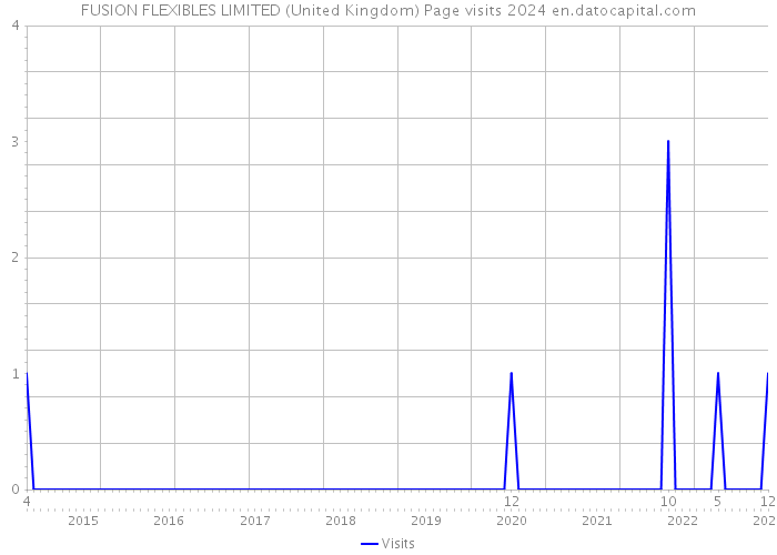 FUSION FLEXIBLES LIMITED (United Kingdom) Page visits 2024 
