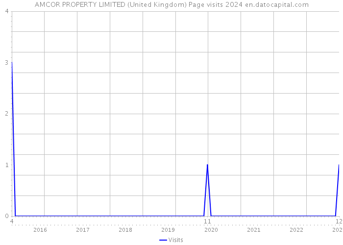 AMCOR PROPERTY LIMITED (United Kingdom) Page visits 2024 