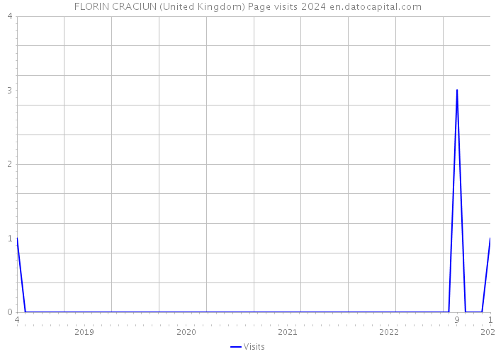 FLORIN CRACIUN (United Kingdom) Page visits 2024 