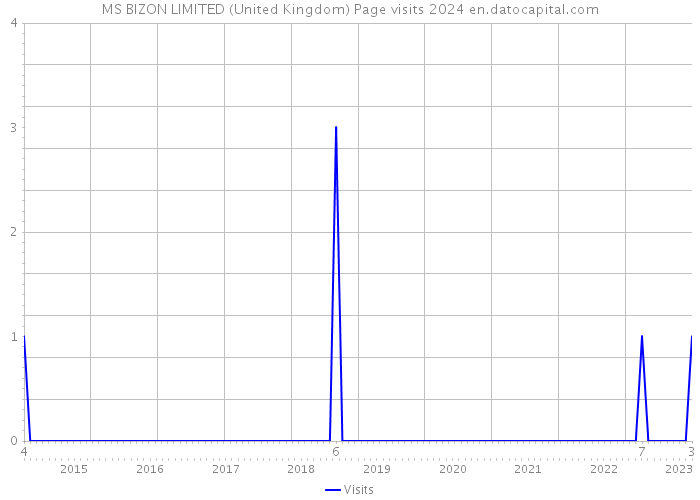 MS BIZON LIMITED (United Kingdom) Page visits 2024 