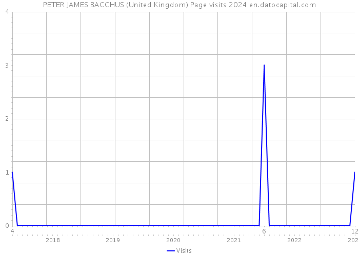 PETER JAMES BACCHUS (United Kingdom) Page visits 2024 