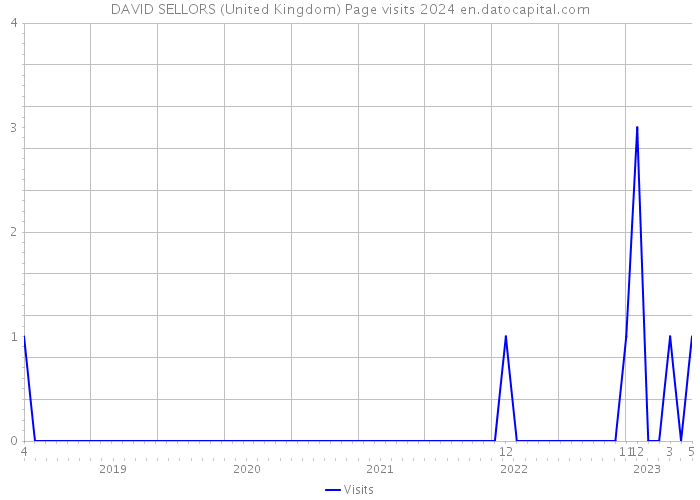 DAVID SELLORS (United Kingdom) Page visits 2024 