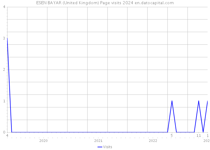 ESEN BAYAR (United Kingdom) Page visits 2024 