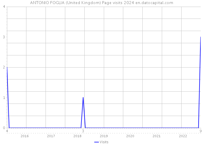 ANTONIO FOGLIA (United Kingdom) Page visits 2024 
