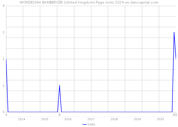 MORDECHAI BAMBERGER (United Kingdom) Page visits 2024 